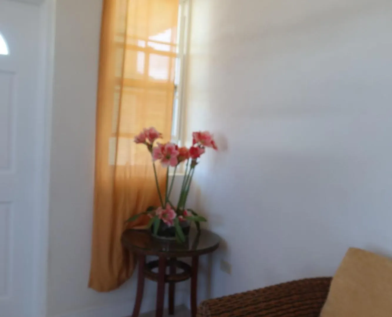 Apartment Ocean Path Villas Christ Church
